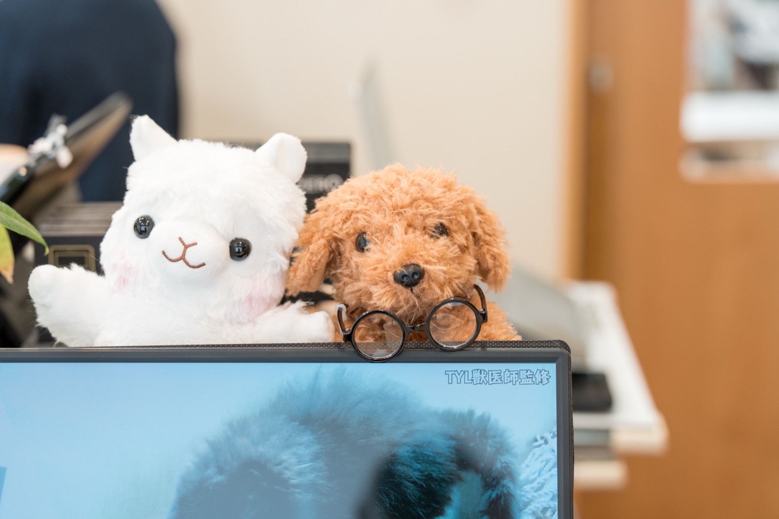 柴犬と笑顔のスタッフ