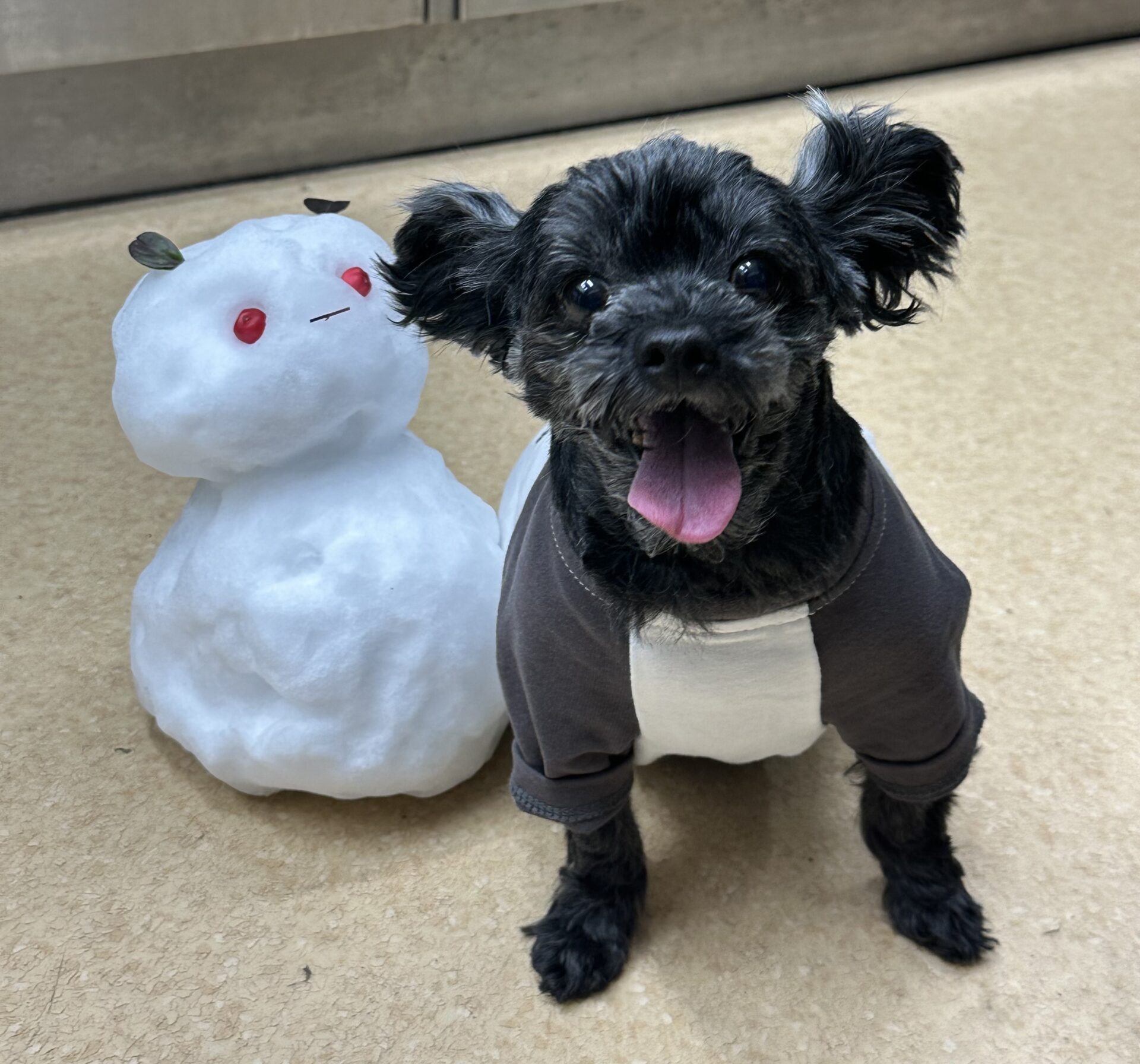 プロハートについて