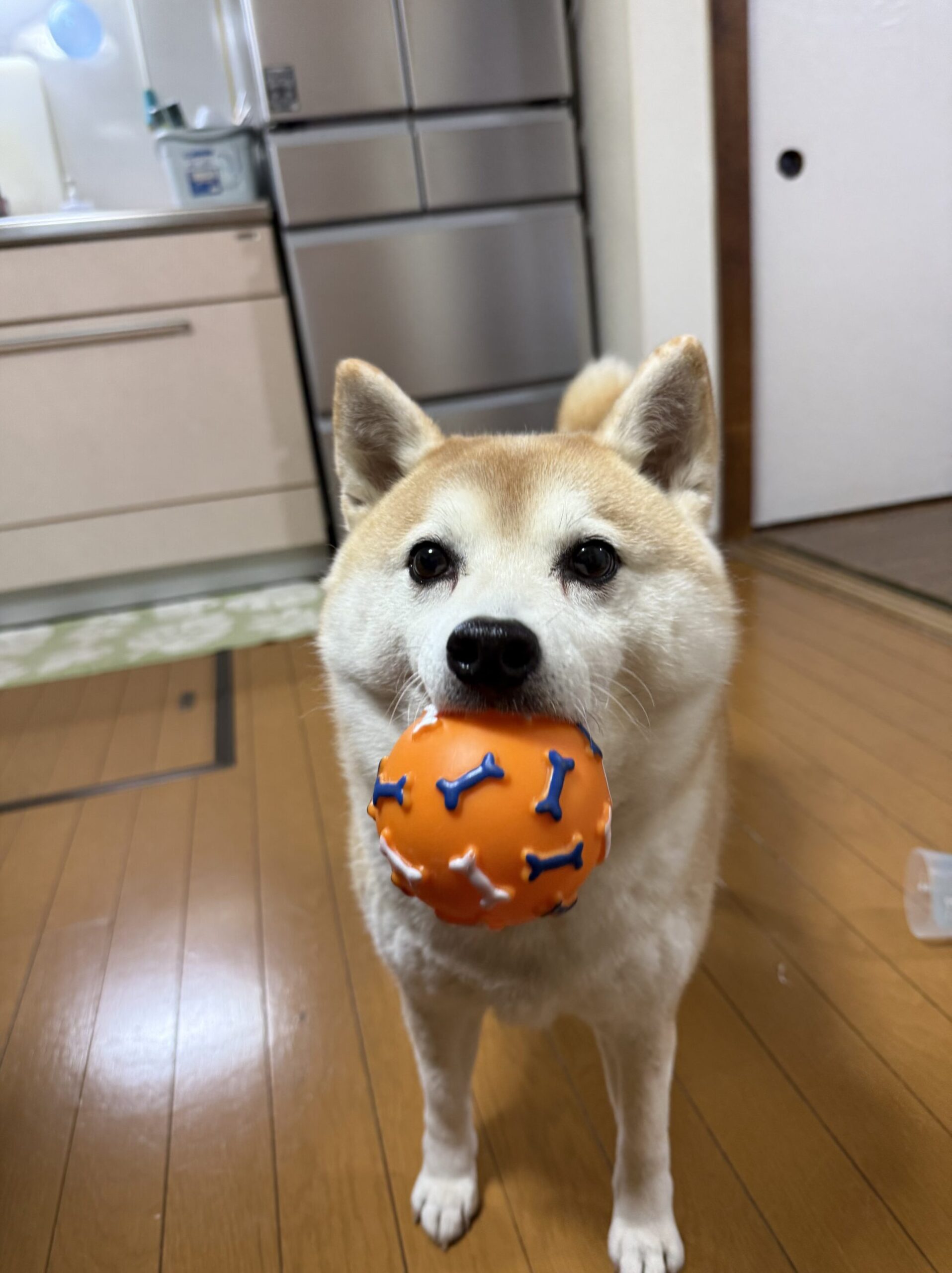 花粉が原因でアレルギー症状が!?