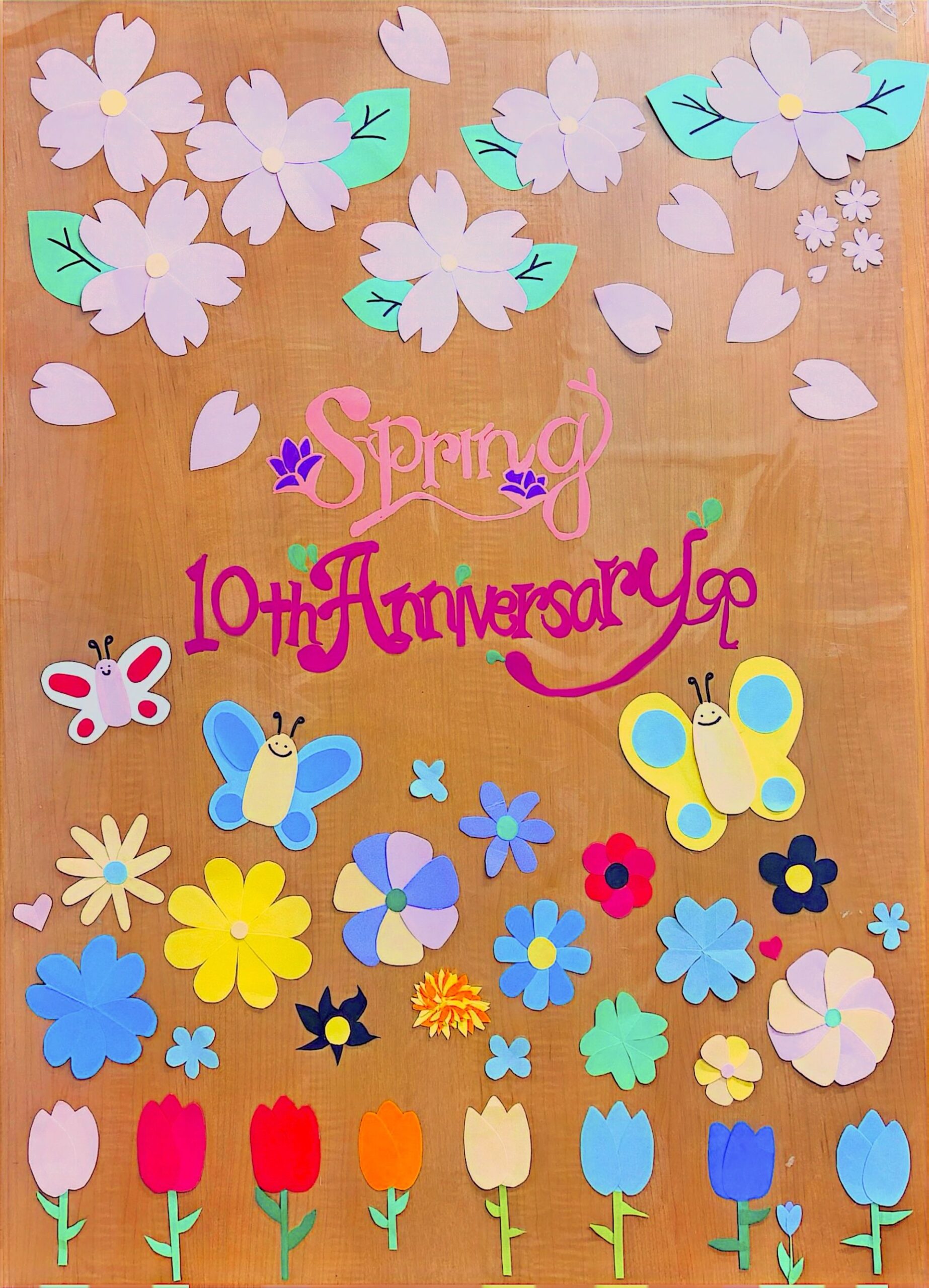 あかつき動物病院　開院10周年