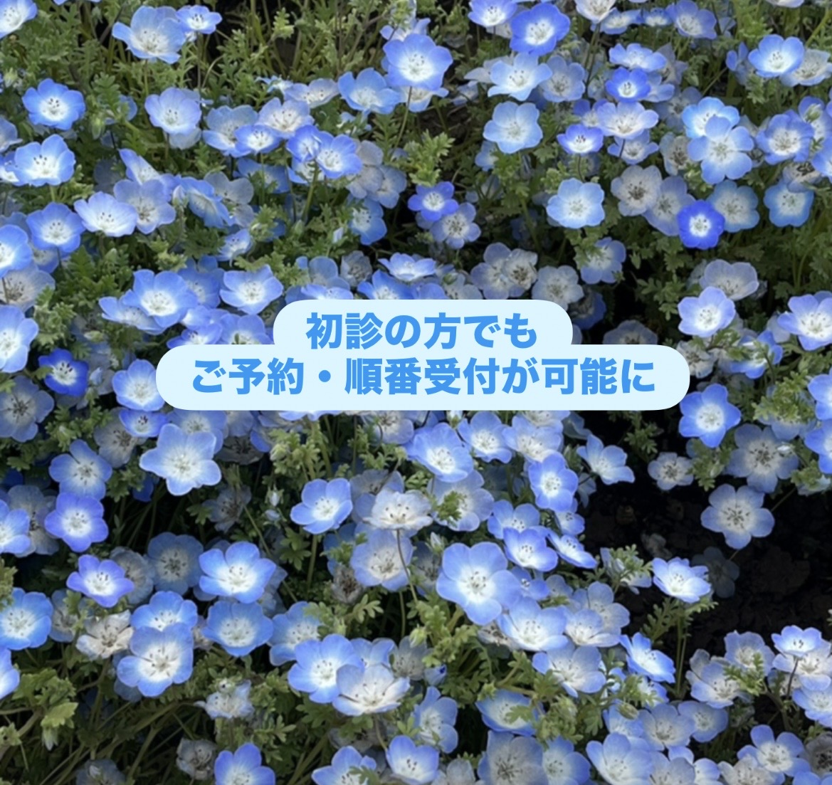 初診の方でも順番受付・予約が可能に