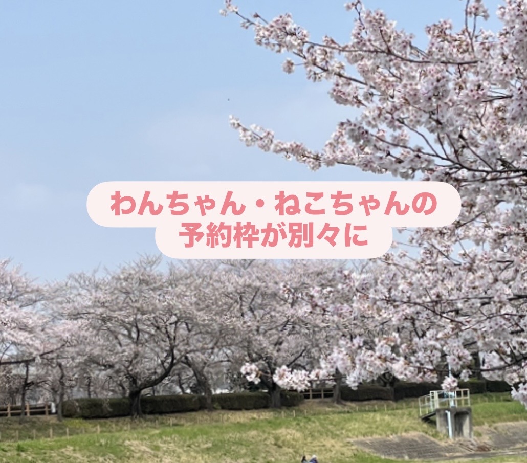 犬・猫の予約枠が別々に