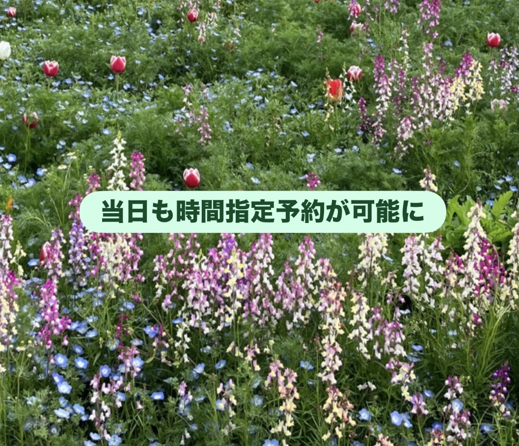 当日も時間指定予約が可能に