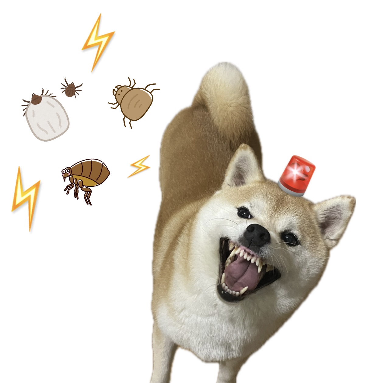 10月になりました〜！
